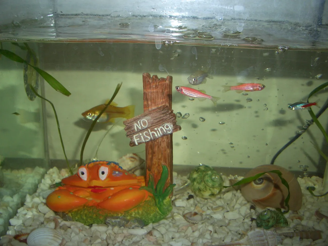 Blog