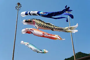 Carpe di tessuto appese durante la festa di maggio