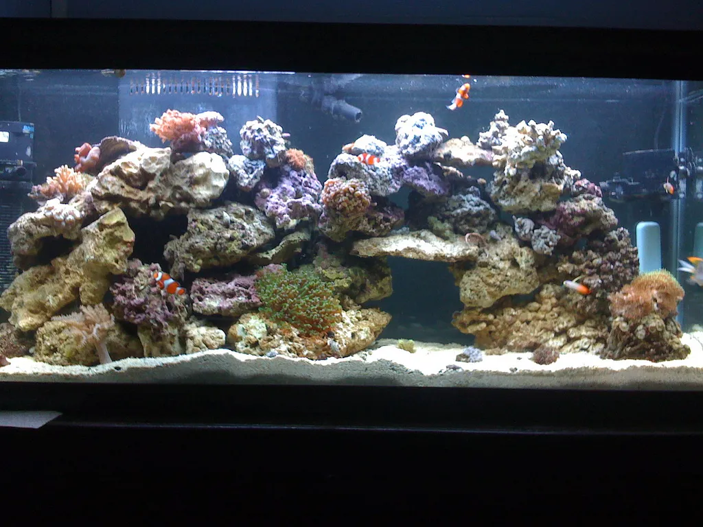 Controller acquario 2026: GHL ProfiLux 5 vs Neptune Apex A4